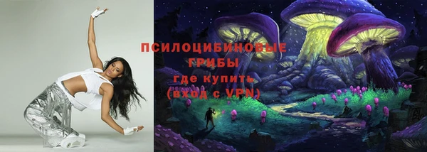 бошки Елизово