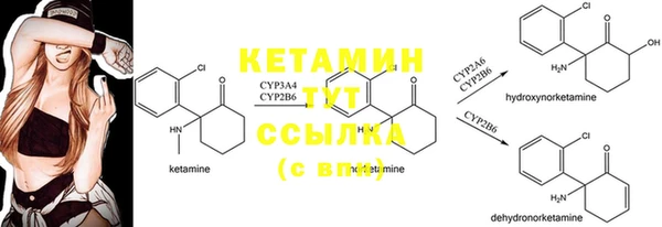 марки nbome Дмитриев