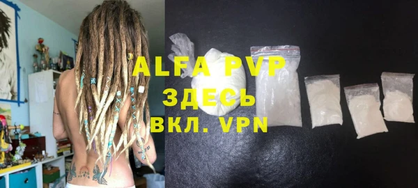 apvp Ельня